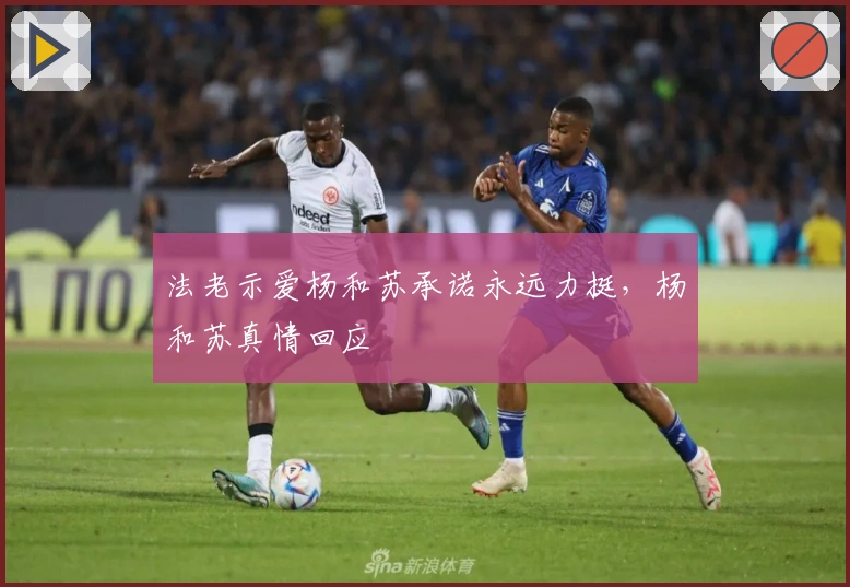 法老示爱杨和苏承诺永远力挺，杨和苏真情回应