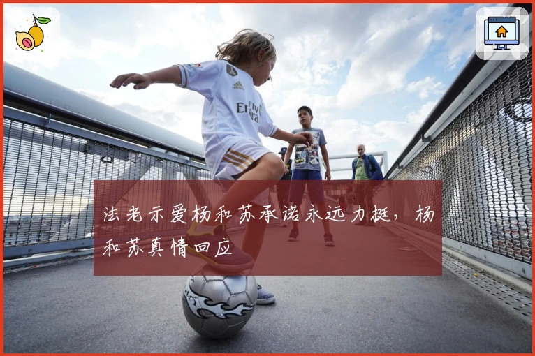 法老示爱杨和苏承诺永远力挺，杨和苏真情回应